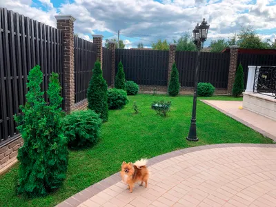 Как сделать свой сад уникальным и комфортным? | GardenPark