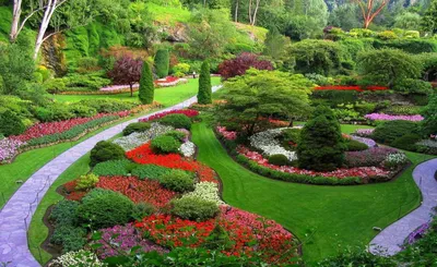 Основы ландшафтного дизайна – правила создания красивого сада