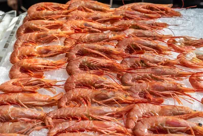 Лангустины (Langistino) L2, 2 кг.: купить в Москве с доставкой от  Морепродукты N1
