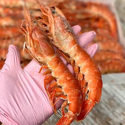 Лангустины: общие представления и свойства - Интернет-магазин BuySeaFood.ru