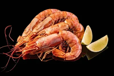 Лангустины с головой