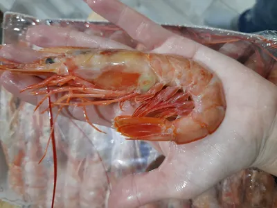 Жареные лангустины с чесноком и петрушкой | Рецепты | Рыбный Мурманн -  51fish.ru