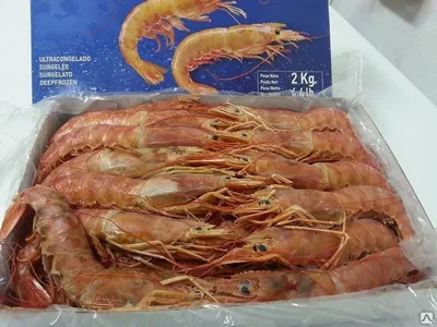 Мороженые лангустины из Туниса, 20-30шт. — купить в Москве по выгодной цене