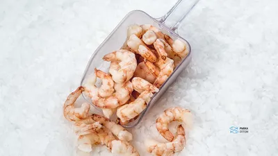 ОЧИЩЕННЫЕ ЛАНГУСТИНЫ купить
