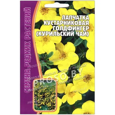 Курильский чай (Лапчатка) Принцесс купить в Екатеринбурге по низкой цене