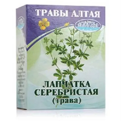 Купить Лапчатка серебристая, трава, пакет, БЕЛОВОДЬЕ, 50 г - Экоcтория  Челябинск - Экостория