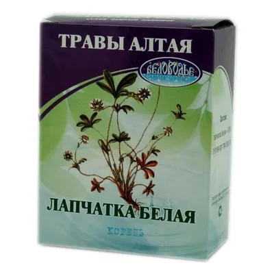 Лапчатка белая корень БАД 25г упаковка №1 купить в Минске с доставкой в  интернет-аптеке, цены