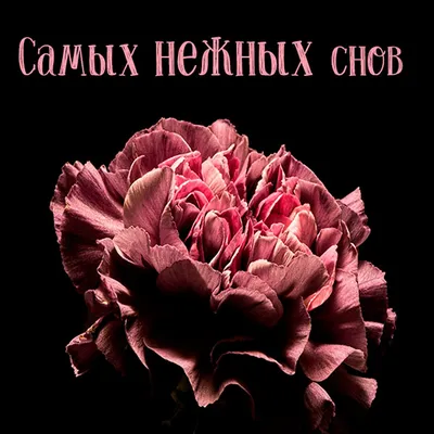 Открытки \"Спокойной ночи!\" для любимого (155 шт.)