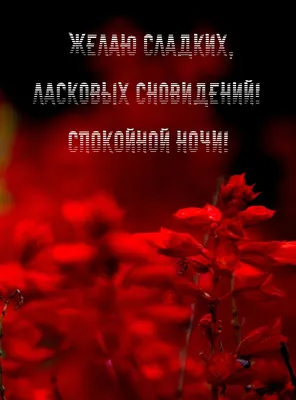💥ДОБРОЙ СКАЗОЧНОЙ НОЧИ, ЛАСКОВЫХ СНОВ, ДОРОГИЕ ДРУЗЬЯ! 💫.. | Ради любви я  всё смогу/Official/Тот,кто не спит | ВКонтакте