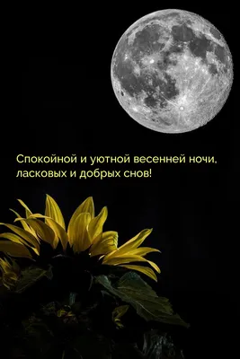 Pin by Лакки on Доброй ночи
