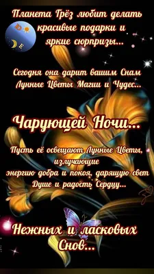 Картинки ласковых снов с цветами (53 фото) » Картинки и статусы про  окружающий мир вокруг