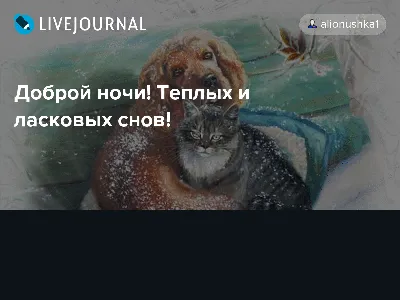 Ласковая картинка с спокойной ночи (33 фото) » Юмор, позитив и много  смешных картинок