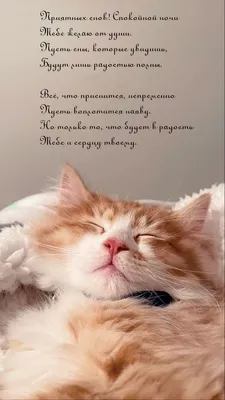 Спокойной ночи!🏙️🌠🌠#Сладких ласковых волшебных снов!😴# | TikTok