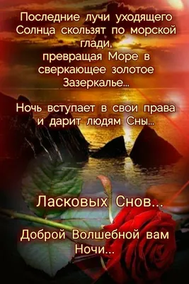 https://prazdniki.info/nezhnoy-nochi-otkrytki