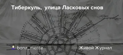 Я желаю тебе теплых, ласковых снов, Как улыбка ребенка и нежности мамы. Я  желаю заснуть, чтоб проснуться так вновь С полным сердцем… | Instagram
