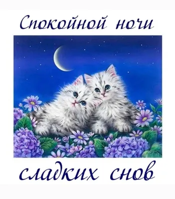 Благословенного вечера и доброй ночи (Много фото!) - treepics.ru