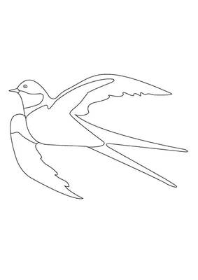 Ласточка - реалистичная птица из шерсти в интернет-магазине Ярмарка  Мастеров по цене 4200 ₽ – QP1OERU | Войлочная игрушка, Великие Луки -  доставка по России