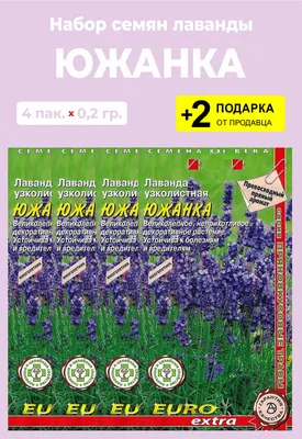 Lavanda (Yujanka) Лаванда (Южанка)... - Dekorativ Bitkilər | Facebook