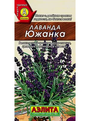 Семена Лаванда Южанка ТМ Агроуспех - «• Ароматный и неприхотливый куст,  который прекрасно растёт и зимует в условиях Подмосковья •» | отзывы