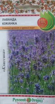 Семена Лаванда Южанка: описание сорта, фото - купить с доставкой или почтой  России