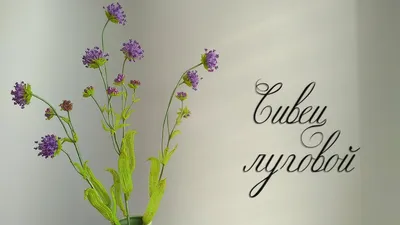 Пин от пользователя nadia на доске biser | Цветы из бисера, Бисерные цветы,  Цветы