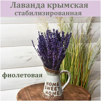 Лаванда Крымская весна (семена,цветы) купить по цене 59 ₽ в  интернет-магазине KazanExpress