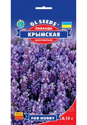 Лаванда Крымская весна 0,1г (Цвет сад) 10 шт — купить в интернет-магазине  по низкой цене на Яндекс Маркете