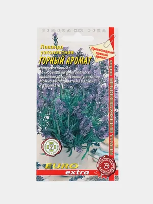 Лаванда узколистная Блю Спир (Lavendula angustifolia Blue Spear ) С2 весна  2024 — Питомник Летний сад