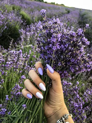 PerfectBiz-ID Слайдеры, водные наклейки для ногтей, цветы, лаванда, лето