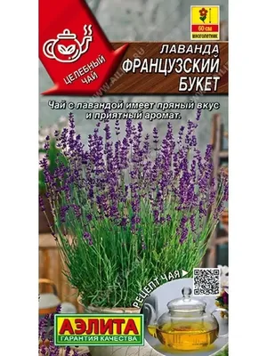 Лаванда сорт Хемус. Характеристики, посадка, уход. - YouTube