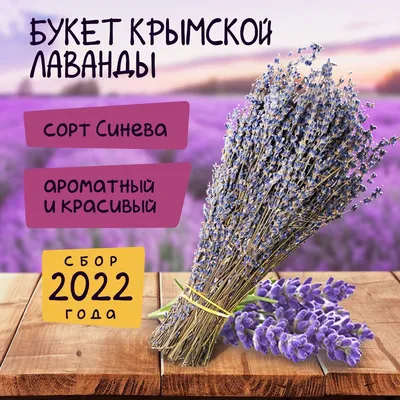 Из Крыма с любовью Лаванда сушеная цветки