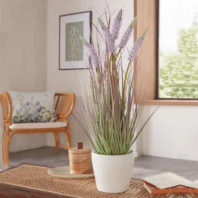 Лаванда в интерьере | Lavanda-decor | Дзен