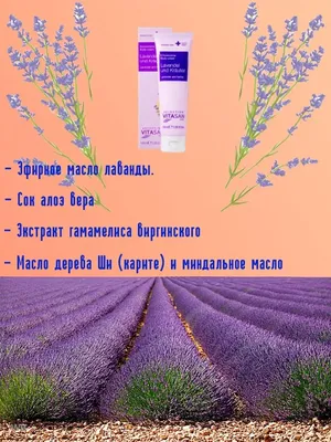 Glade Аэрозоль Безмятежная лаванда и алоэ, 300мл - купить с доставкой по  выгодным ценам в интернет-магазине OZON (261080801)