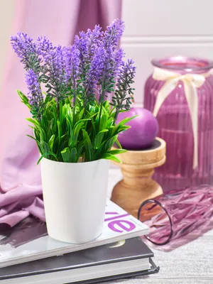 Купить Искусственные цветы для декора / Искусственные цветы Лаванда в  горшке / Лаванда в кашпо для оформления интерьера по выгодной цене в  интернет-магазине OZON.ru (260782012)