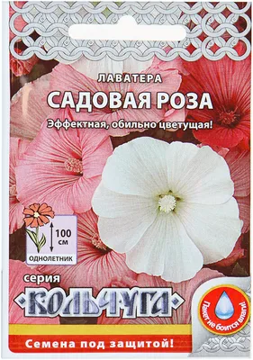 Лаватера Старый Патефон, семена – купить в питомнике \"КСП\" с доставкой по  России