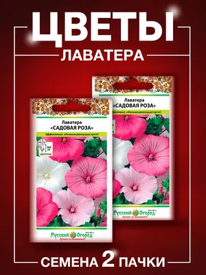 Семена лаватера Кольчуга Садовая роза смесь Е02820 1 уп. - отзывы  покупателей на Мегамаркет