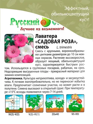 Купить семена Лаватера Садовая роза от Русский огород, 4136