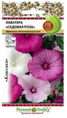Лаватера Садовая роза смесь 0,5 г купить недорого в интернет-магазине  товаров для сада Бауцентр