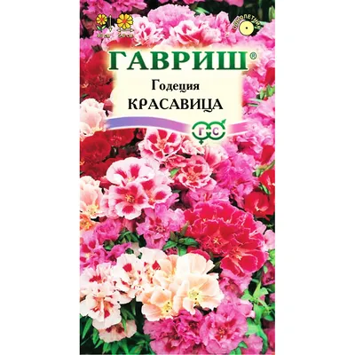 Лаватера Красотка красная (ЦВ) (\"1) 0,3гр.