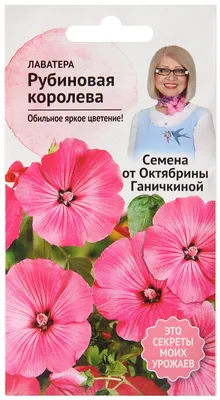 Купить семена Лаватера Садовая роза от Русский огород, 4136