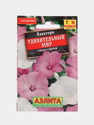 Астры однолетние, Лаватера Русский огород Семена цветов - купить по  выгодным ценам в интернет-магазине OZON (955189802)
