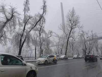 Ледяной дождь: живописные снимки фотографов