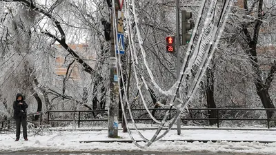 Ледяной дождь: уникальные фотографии, притягивающие внимание своим величием и красотой