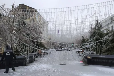 Искусство природы: красивые фотографии ледяного дождя