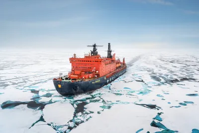 Туры на Северный полюс на ледоколе 50 лет Победы — круиз на Северный полюс  на ледоколе 50 лет победы, цена