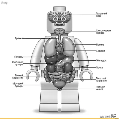 Набор ЛЕГО человечки/минифигурки/lego/майнкрафт - 20 штук 24Homeshop  47464626 купить в интернет-магазине Wildberries