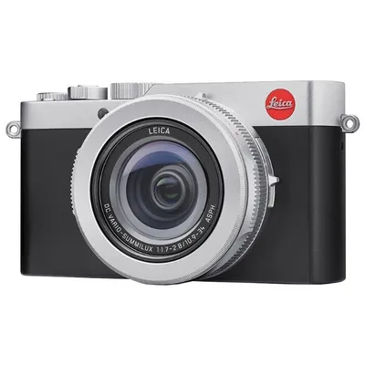 Leica D-Lux (Typ 109) (The Dachs 7)