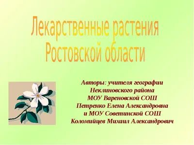 Лекарственные растения Ростовской области - презентация, доклад, проект