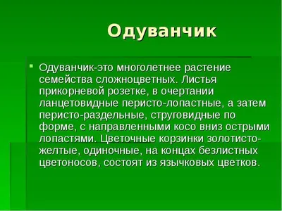 Ботанический сад Ростова-на-Дону — официальный сайт, прайс в 2024 году,  фото, карта, как проехать на Туристер.Ру