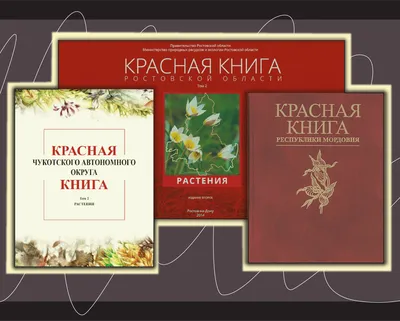 Вести с полей: в Анапе цветет Оносма крымская